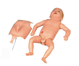 ߼Ӥģ