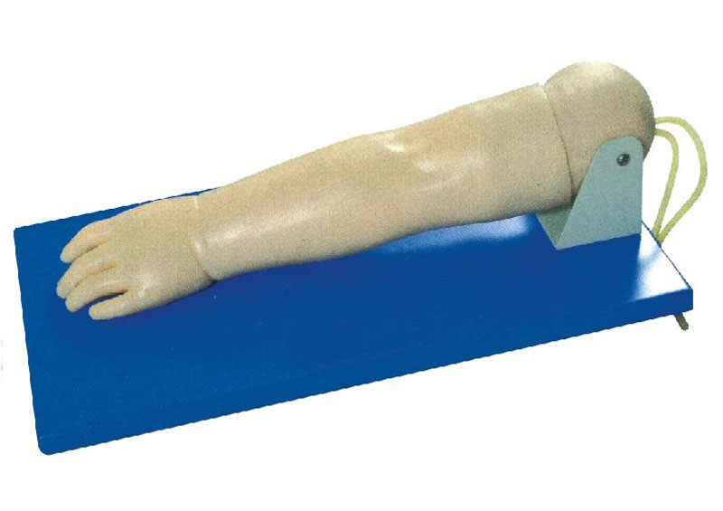 ߼Сֱģ